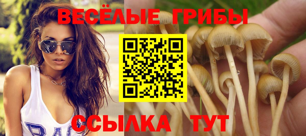 Галлюциногенные грибы прущие грибы  Псилоцибиновые грибы Psilocybine cubensis  Вход с VPN  Павлово 