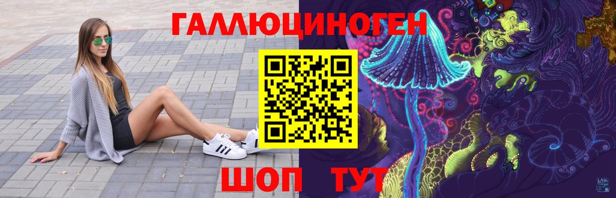 Галлюциногенные грибы Psilocybe Павлово
